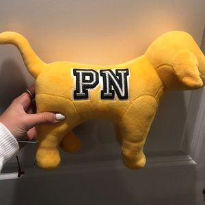 VS Pink nation dog